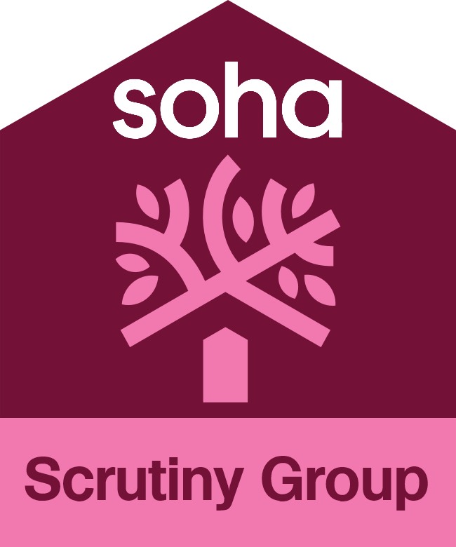 Scrutiny Group