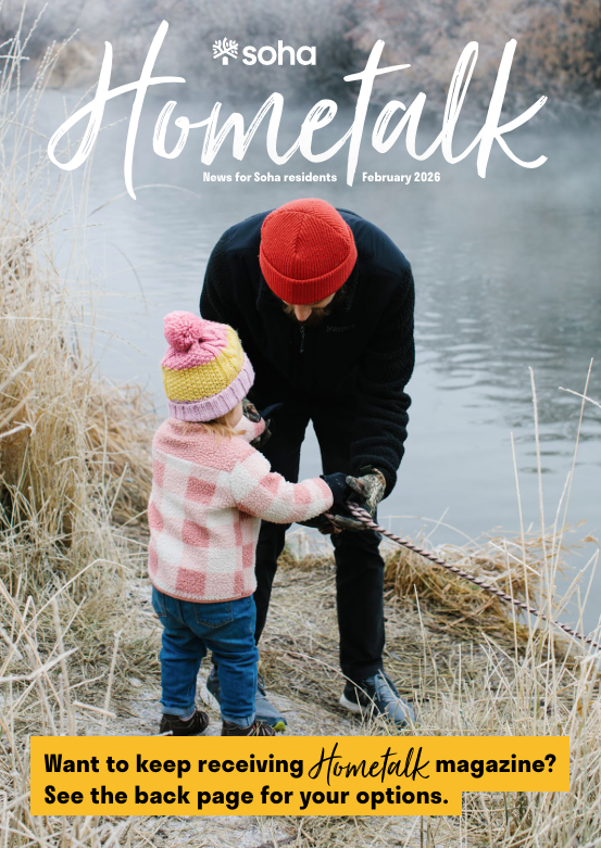 Hometalk February 2026 (with image descriptions once downloaded)